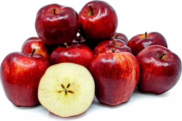 تصویر 5 از قیمت خرید سیب قرمز اشنویه با فروش عمده